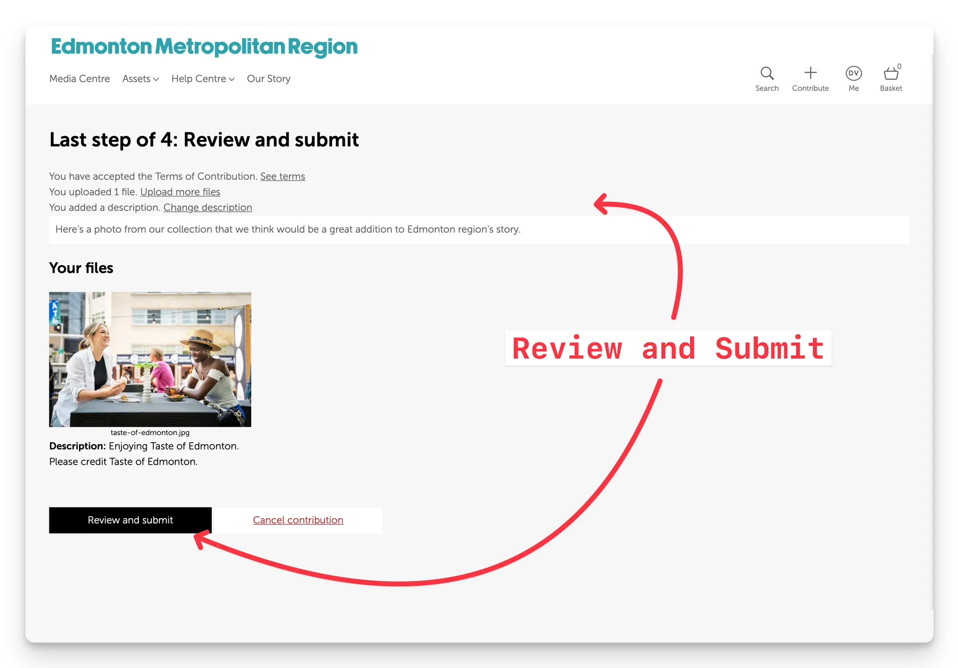 Screenshot of step 4 of the Contribution workflow - Review and submit