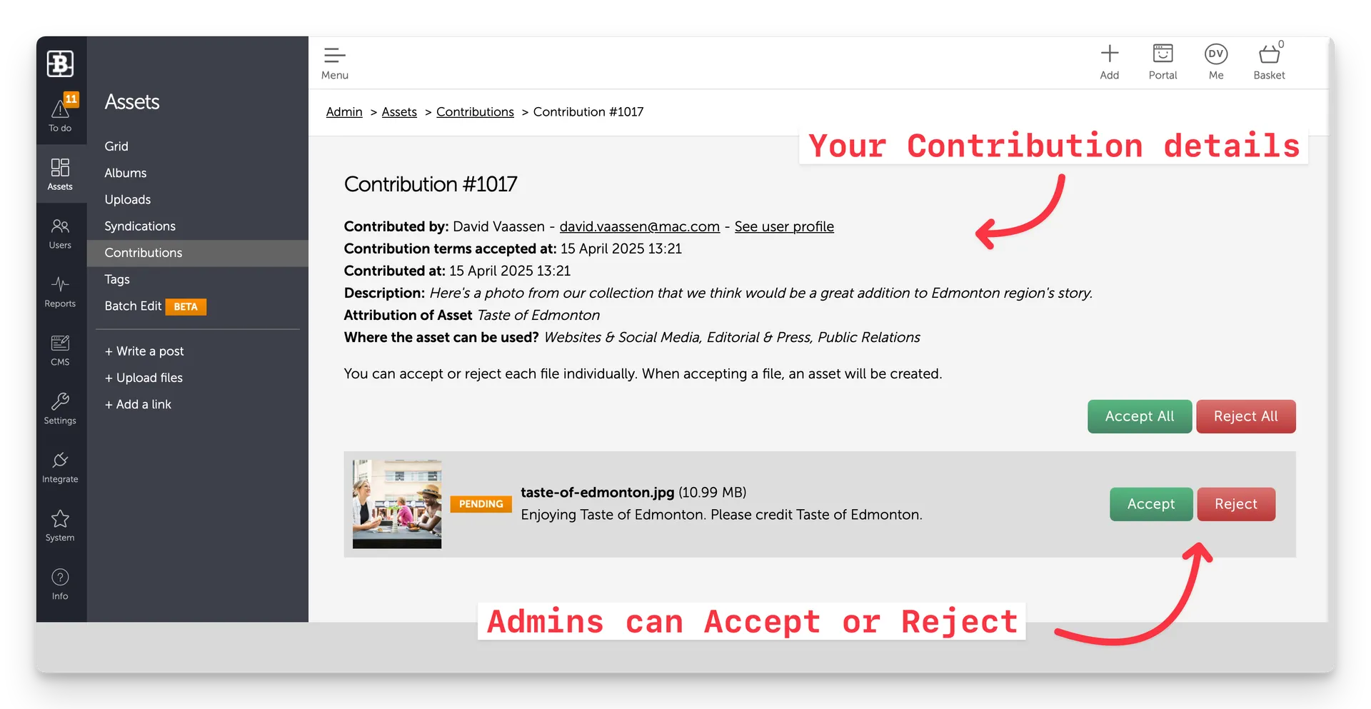 Screenshot of a Contribution displayed inside the Brandkit Admin area