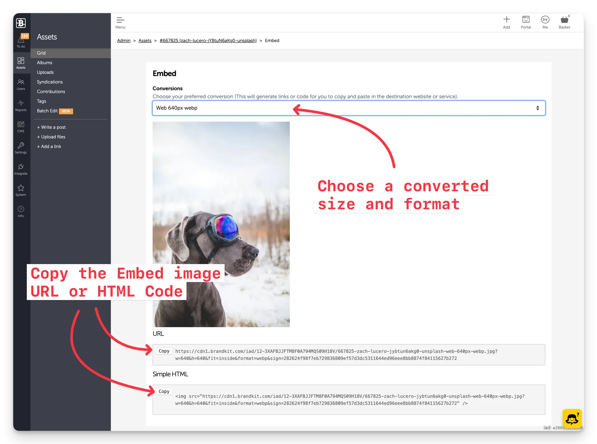 Screenshot showing Embed options in Admin