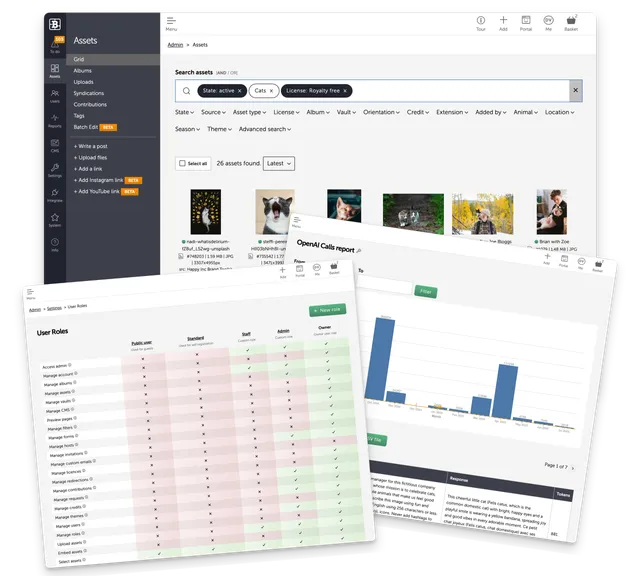 A montage of three screenshots showing Brandkit Assets Grid (Admin view), Manage User Roles page, and OpenAI Calls Report