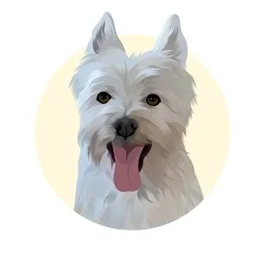 Harry avatar
